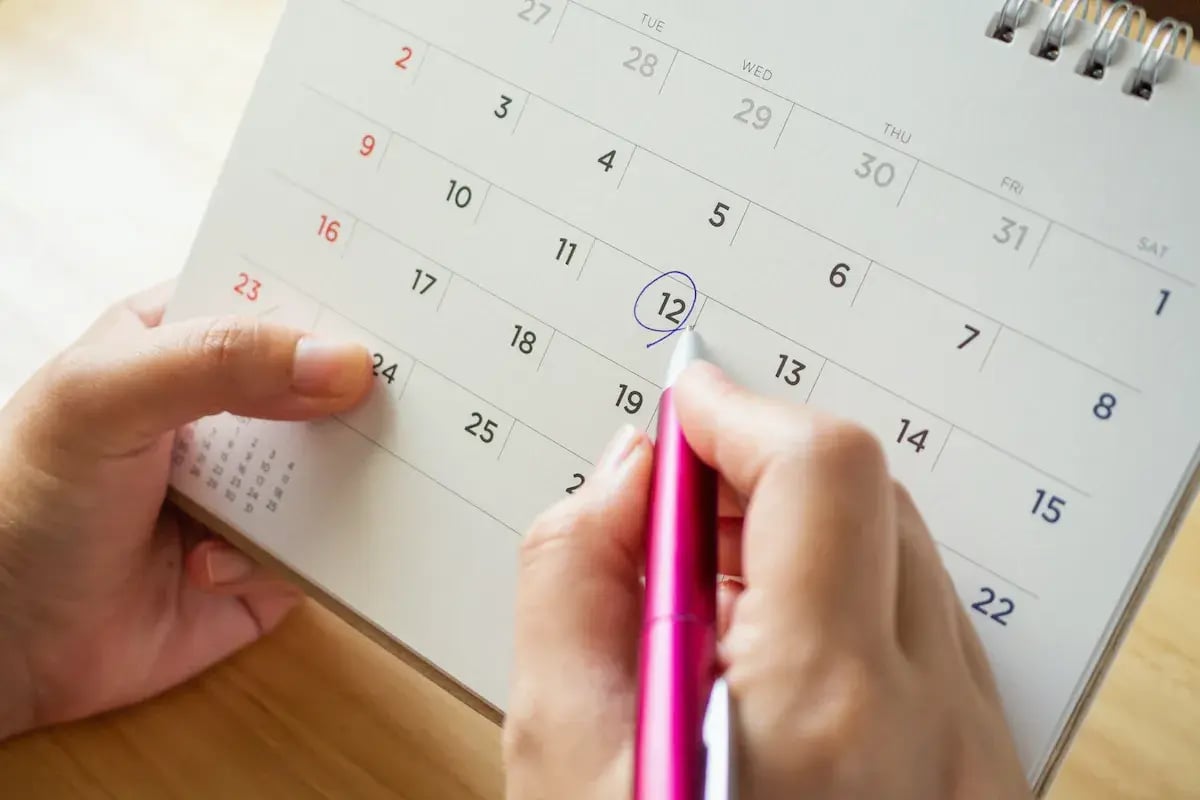 採用ブランディングの株式会社ジャリアのスケジュールイメージ