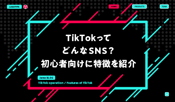 TikTokの特徴について福岡の広告代理店が解説イメージ
